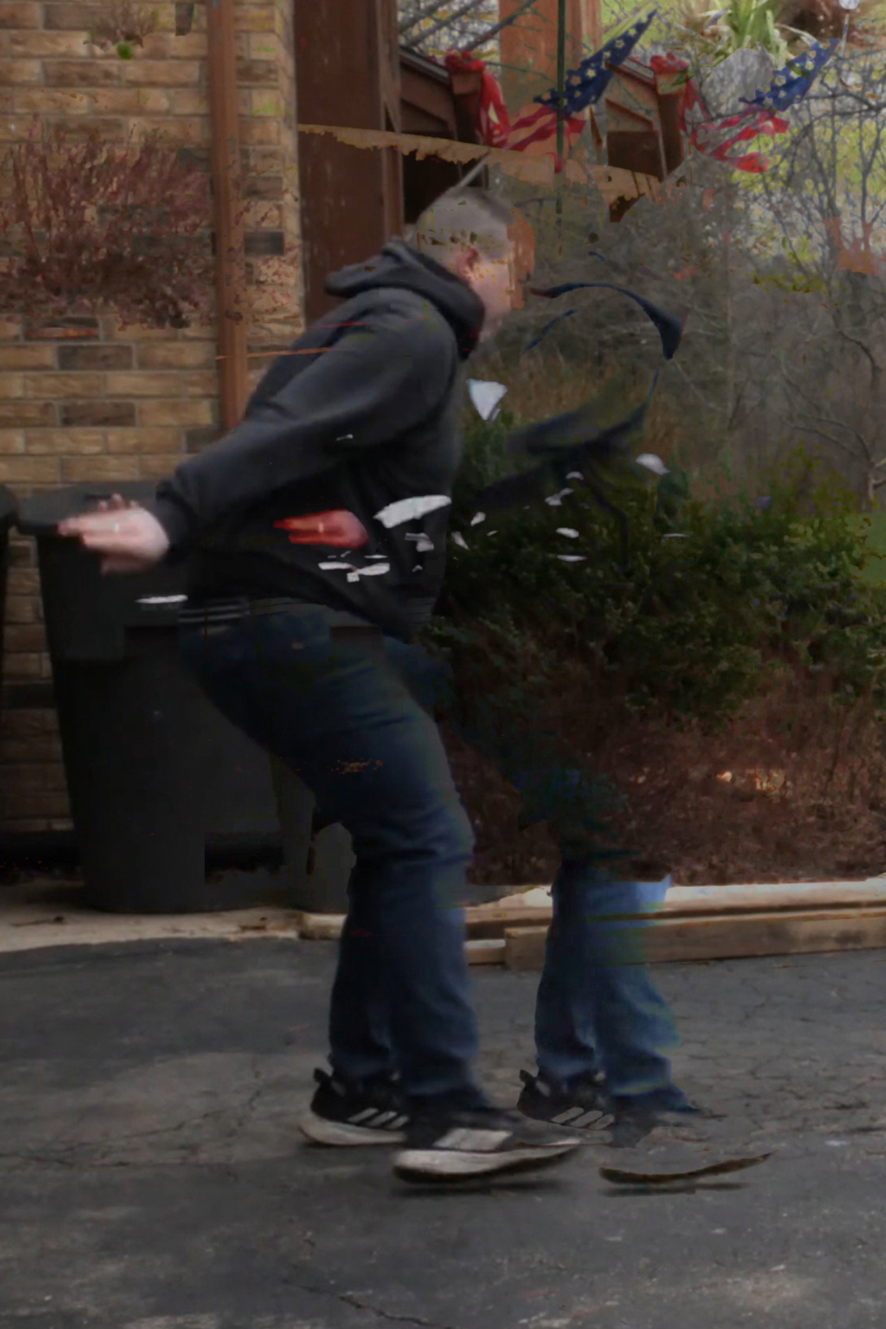 Delicate Ecosystem Backdrop