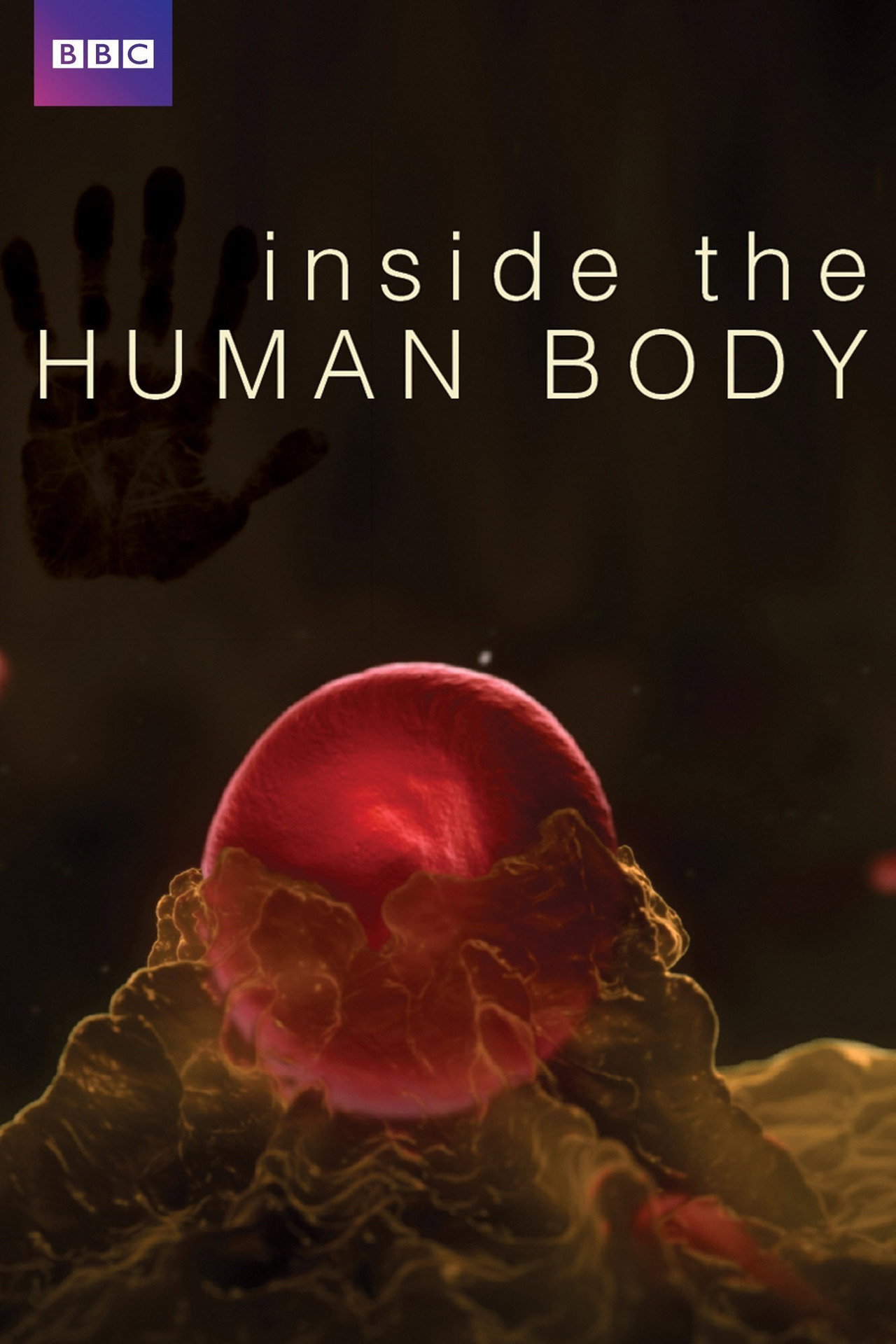 Inside the Human Body affisch