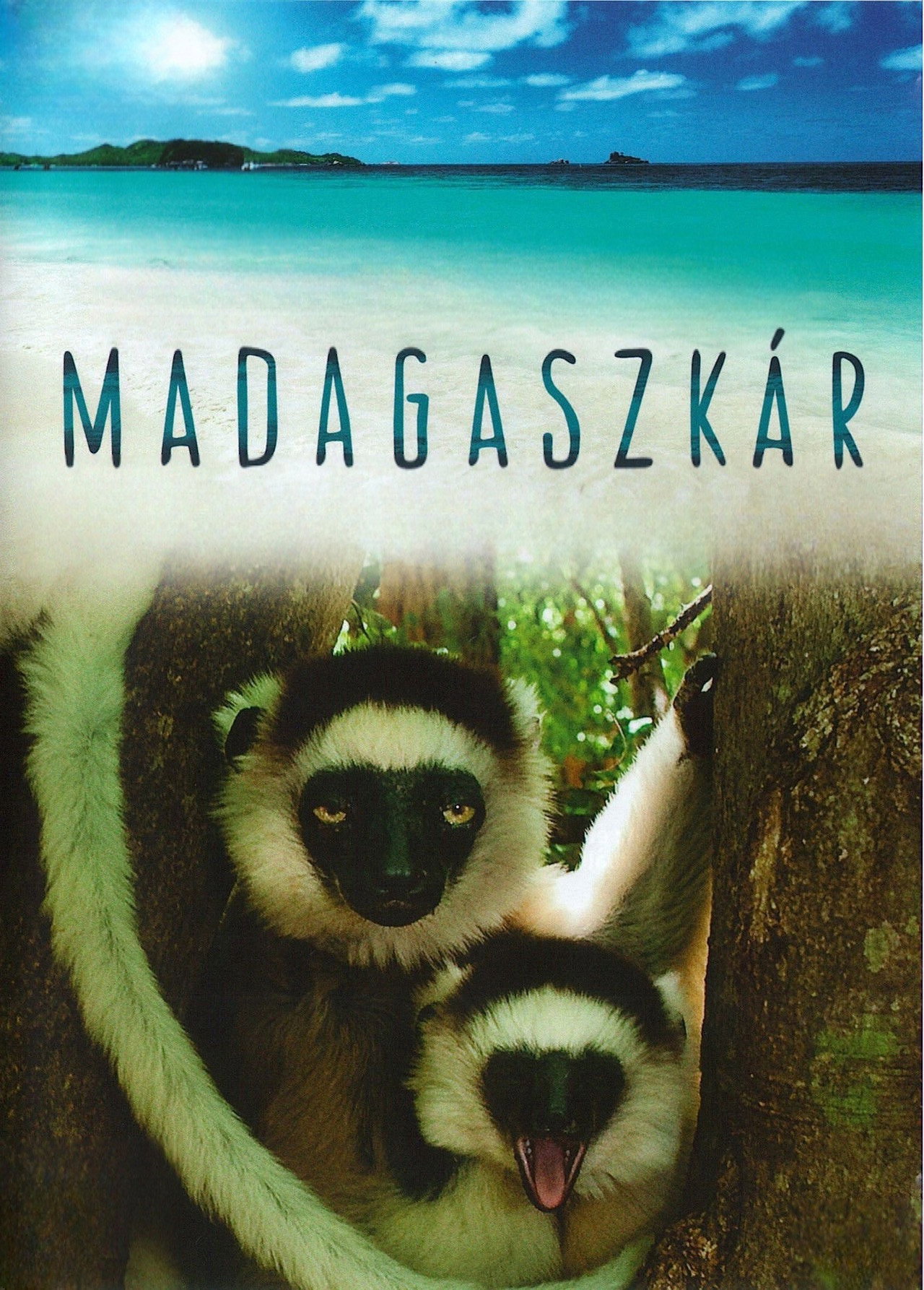 Madagaszkár – plakát 5