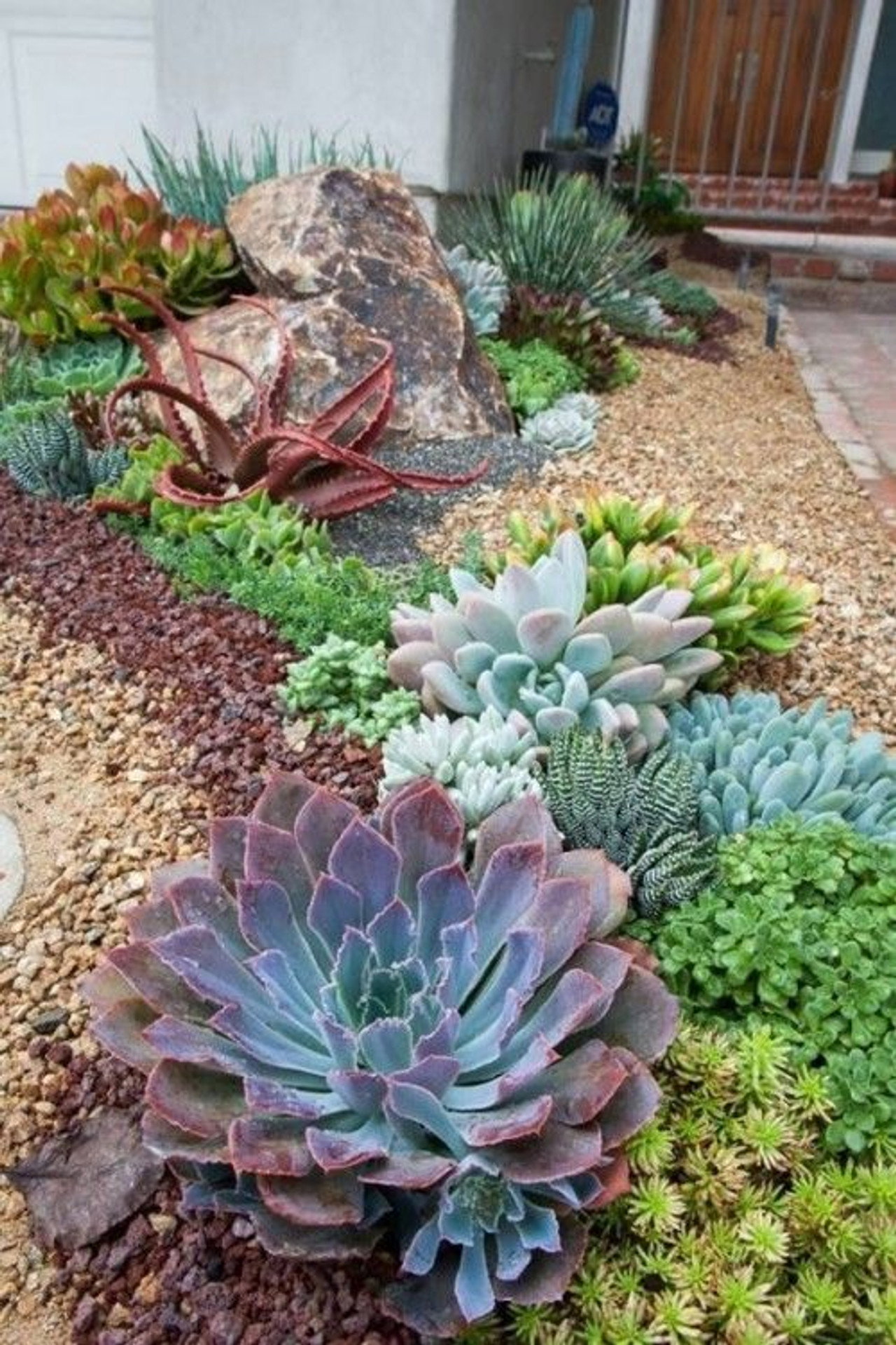 The A to Z of TV Gardening