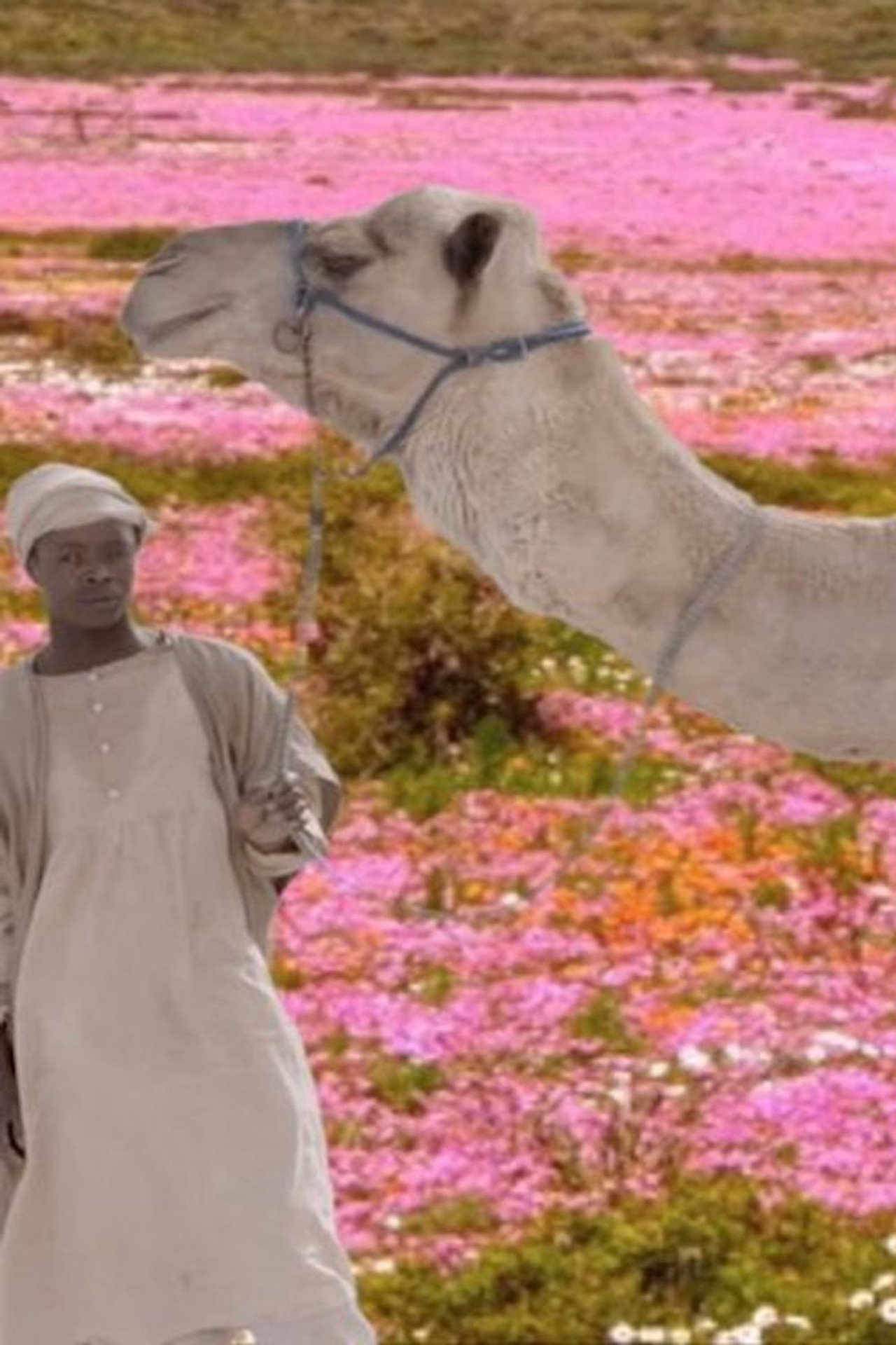 The Future Was Desert filmaffisch