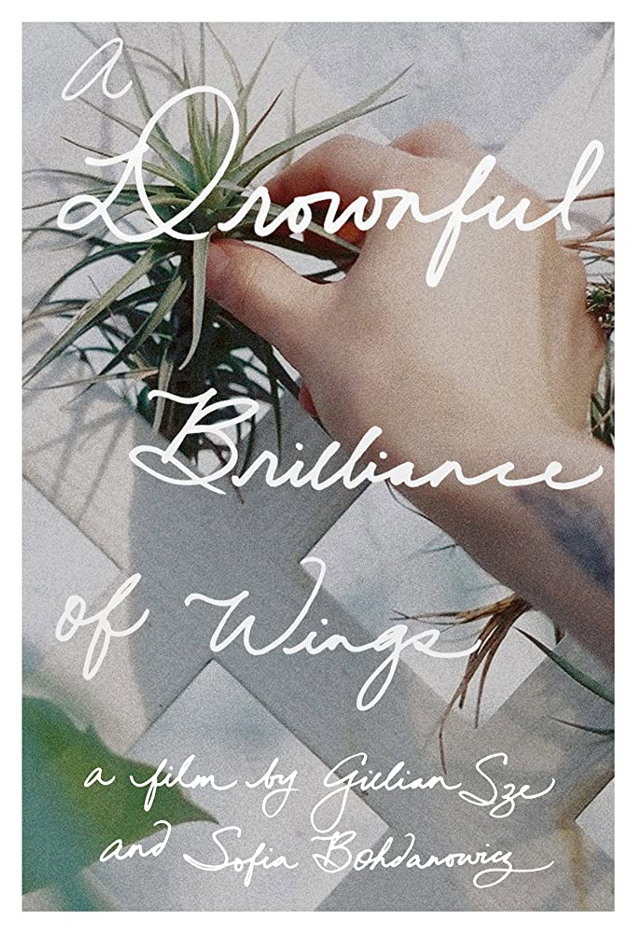 A Drownful Brilliance of Wings filmaffisch