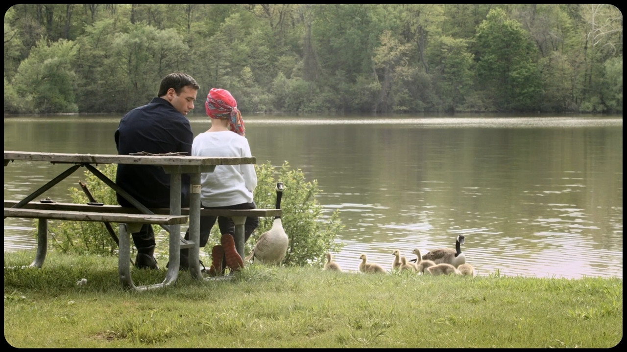 Faith Under Fire backdrop