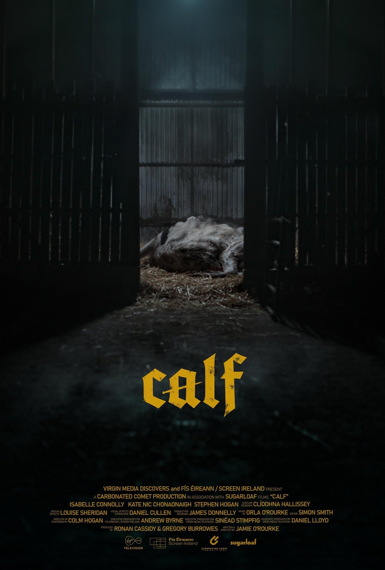 Calf Calf
