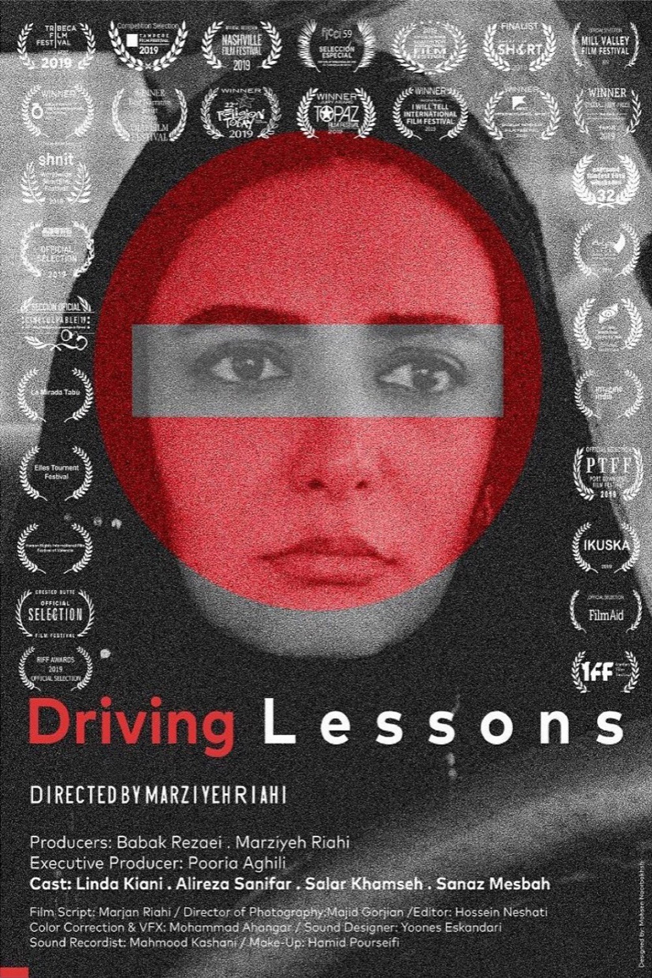 Driving Lessons