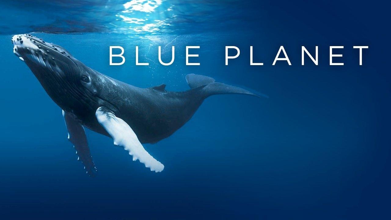 The Blue Planet background