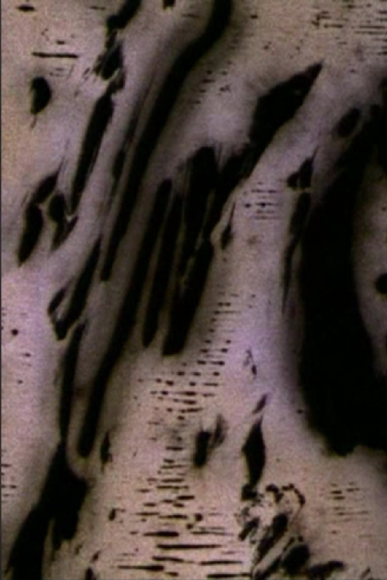 Mouvement de Lumière filmaffisch