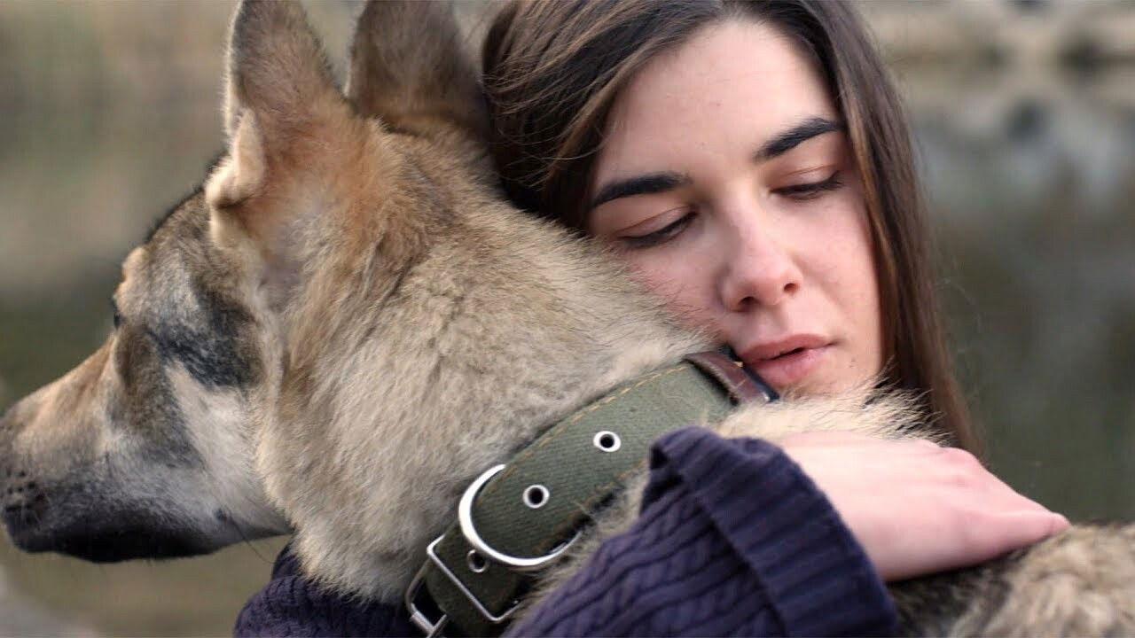 Джульбарс — Épisode 8