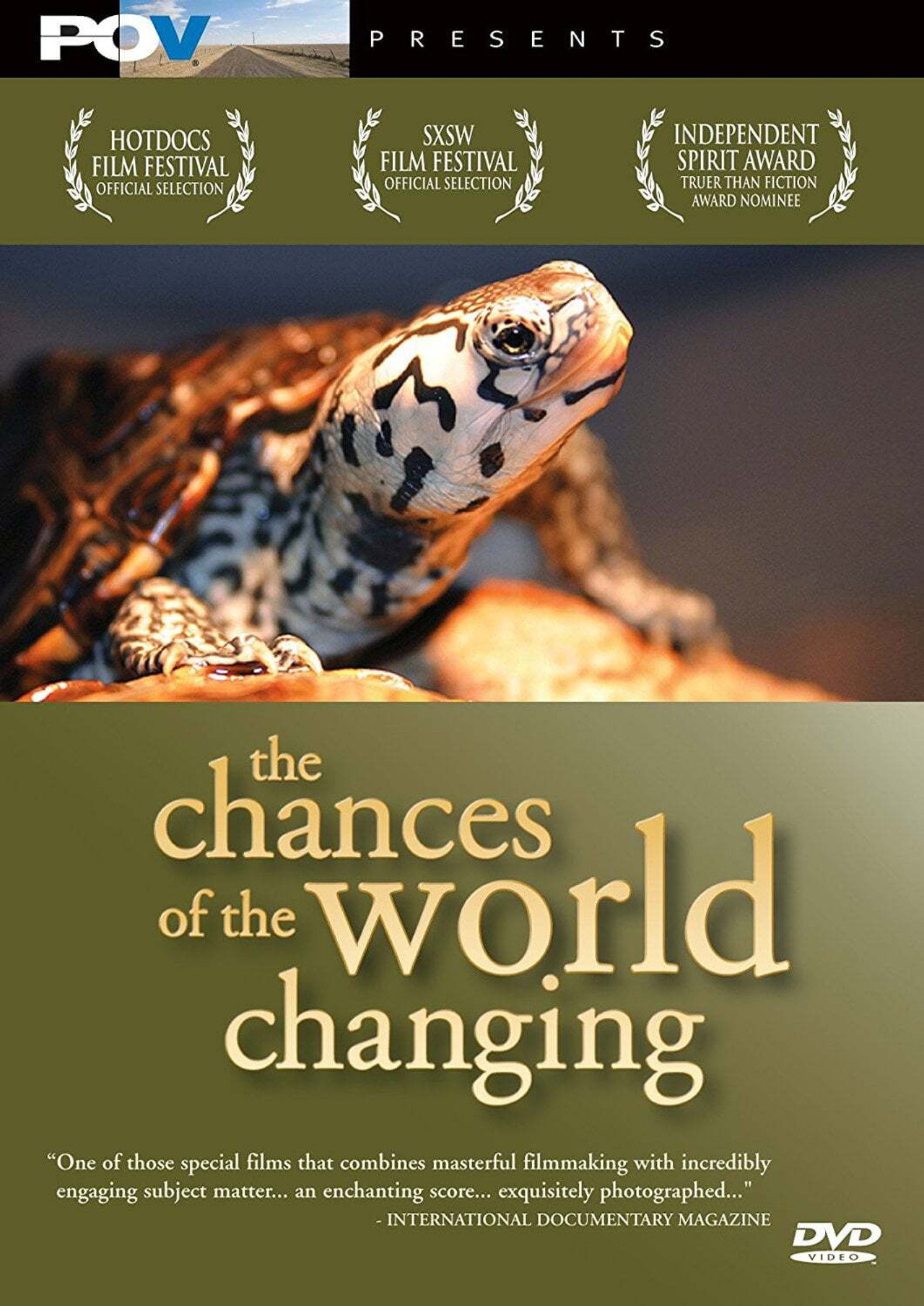 The Chances of the World Changing filmaffisch