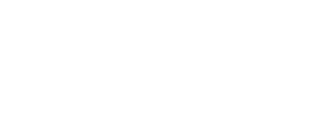 Dragon Ball Z: Super Android 13!