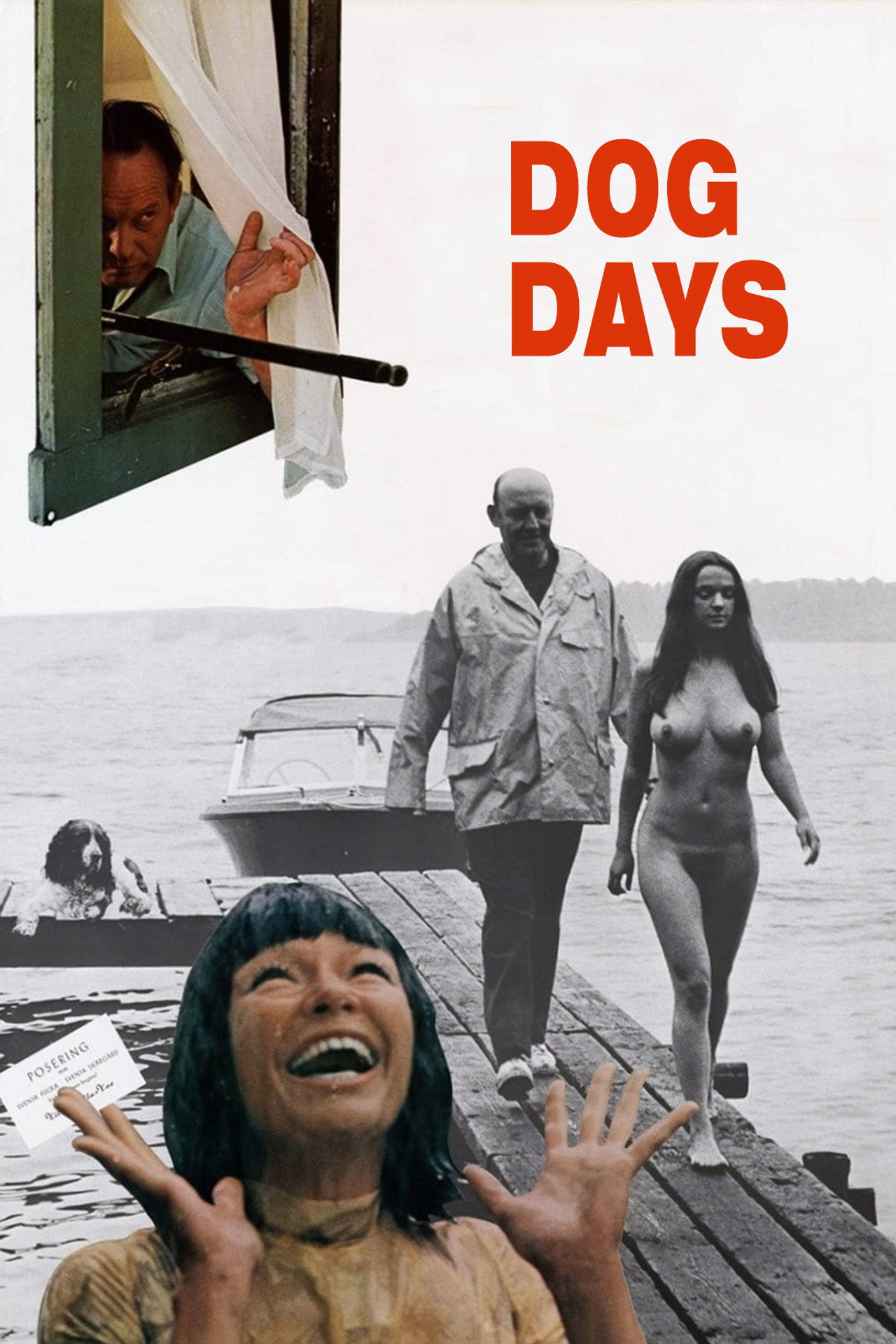 Dog Days