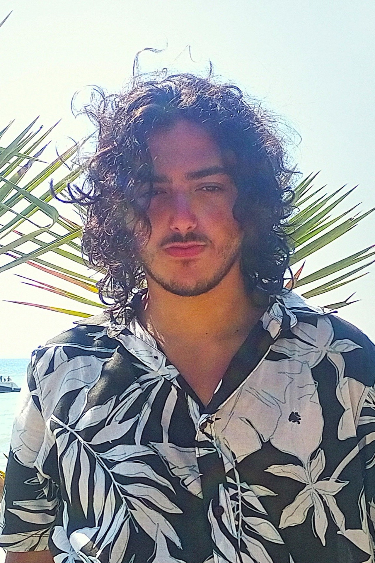 Mike Tawil
