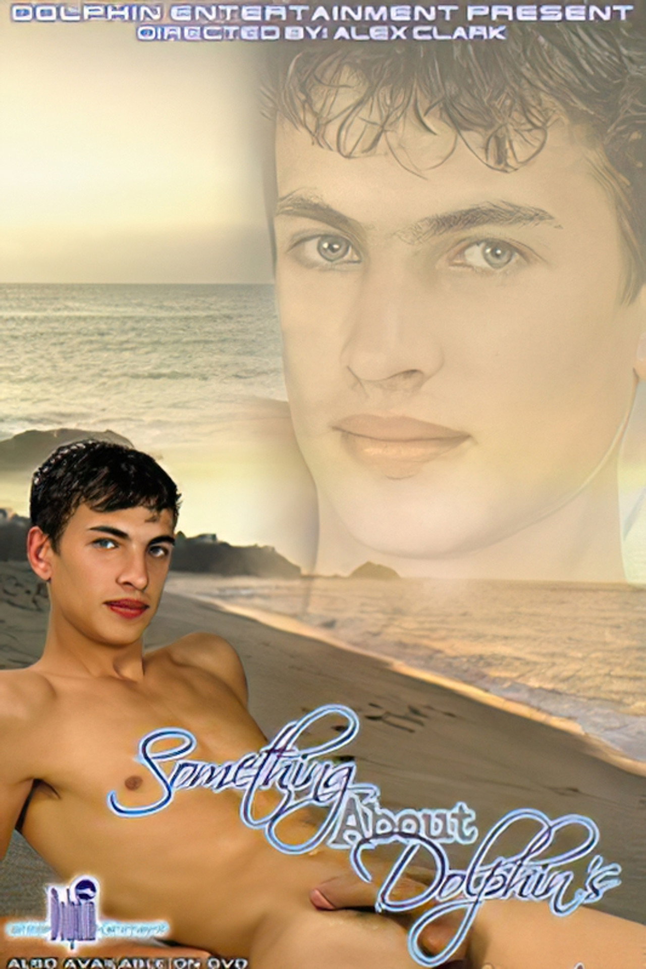 Something About Dolphin's filmaffisch