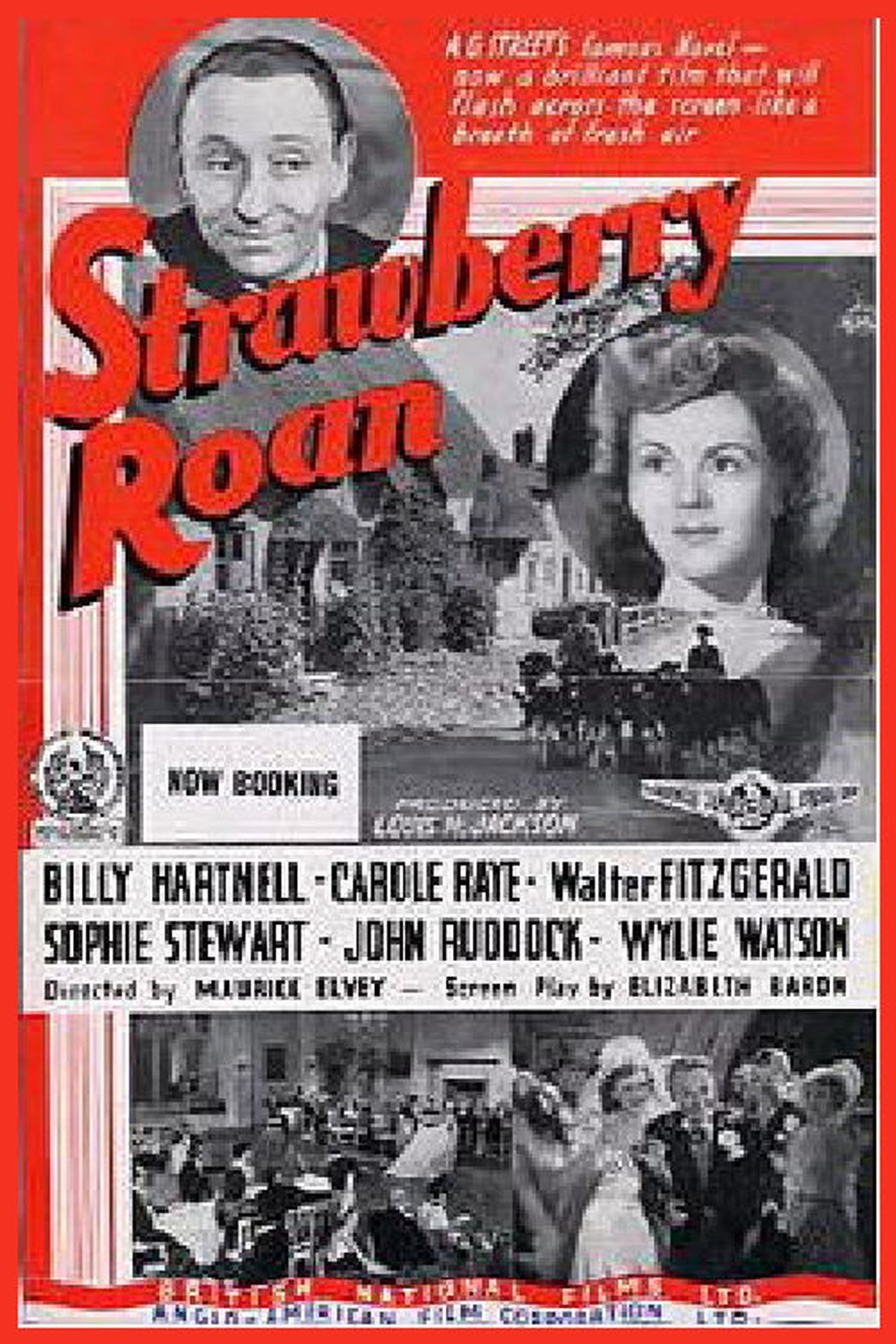Strawberry Roan Strawberry Roan