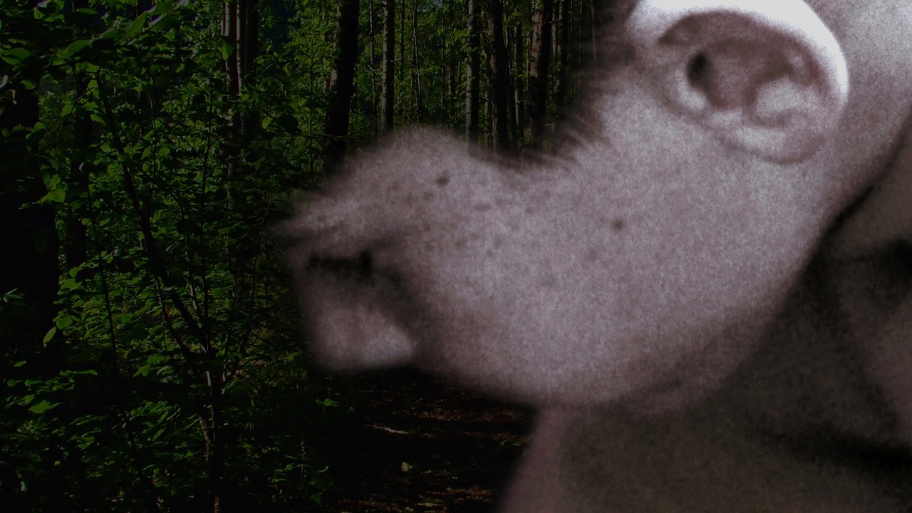 title image