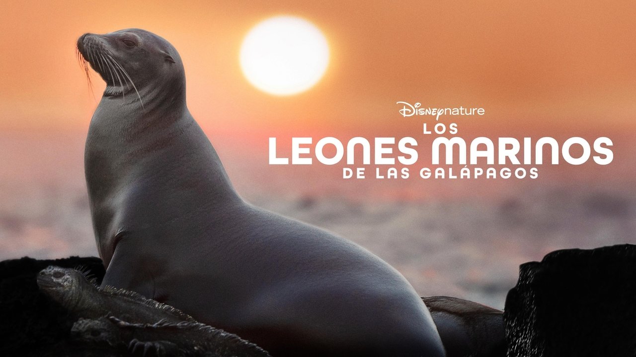 title image