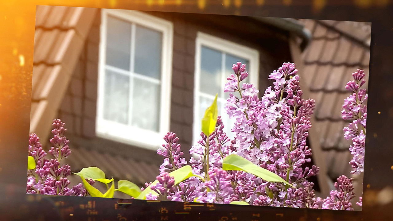 Ermittler! — Épisode 6