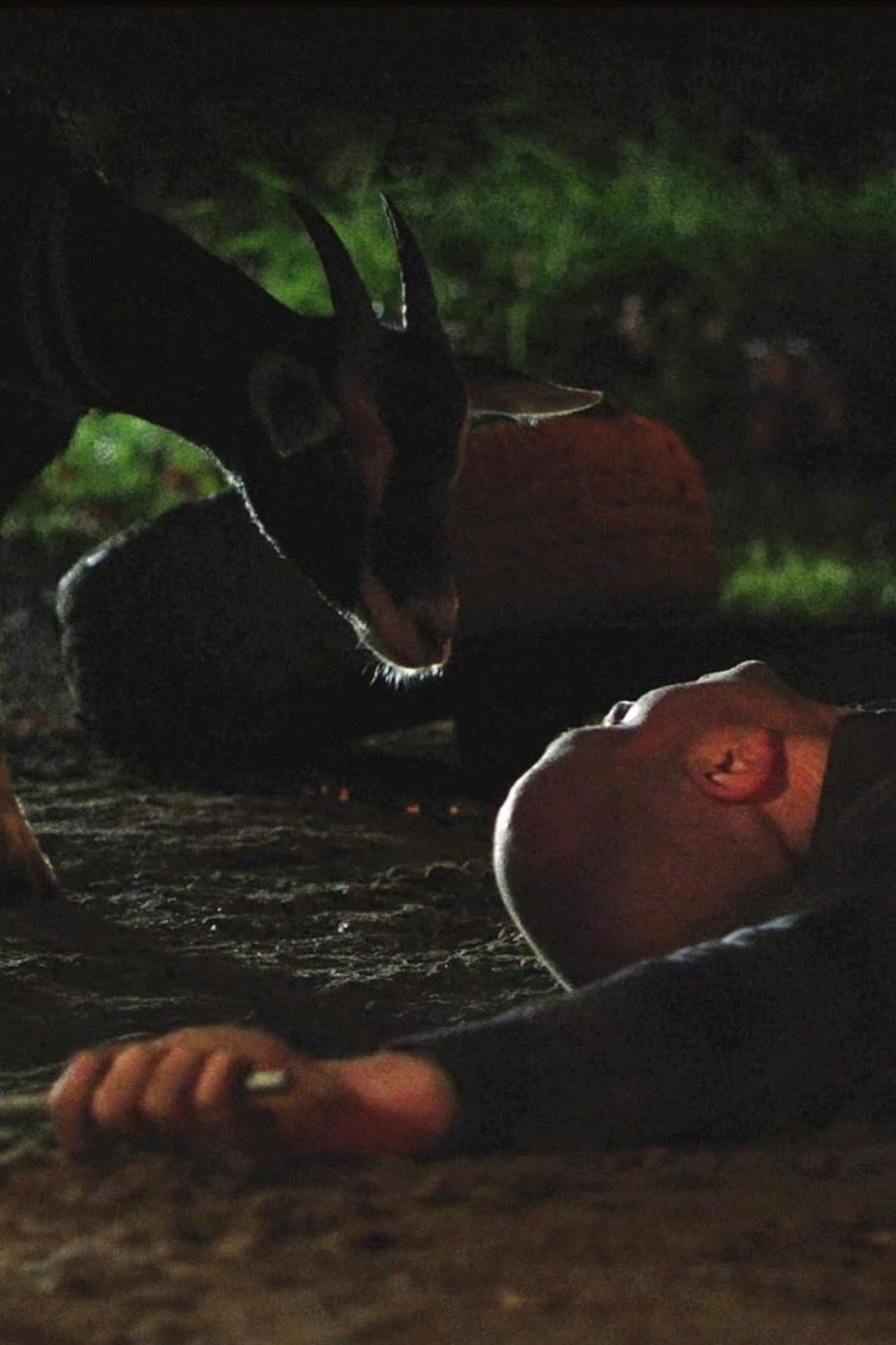 Goatman of Kananaskis Backdrop