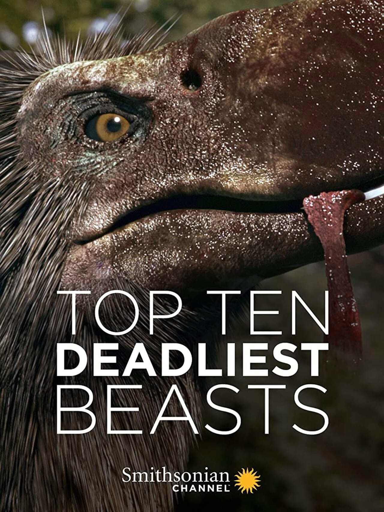 Top Ten Deadliest Beasts affisch