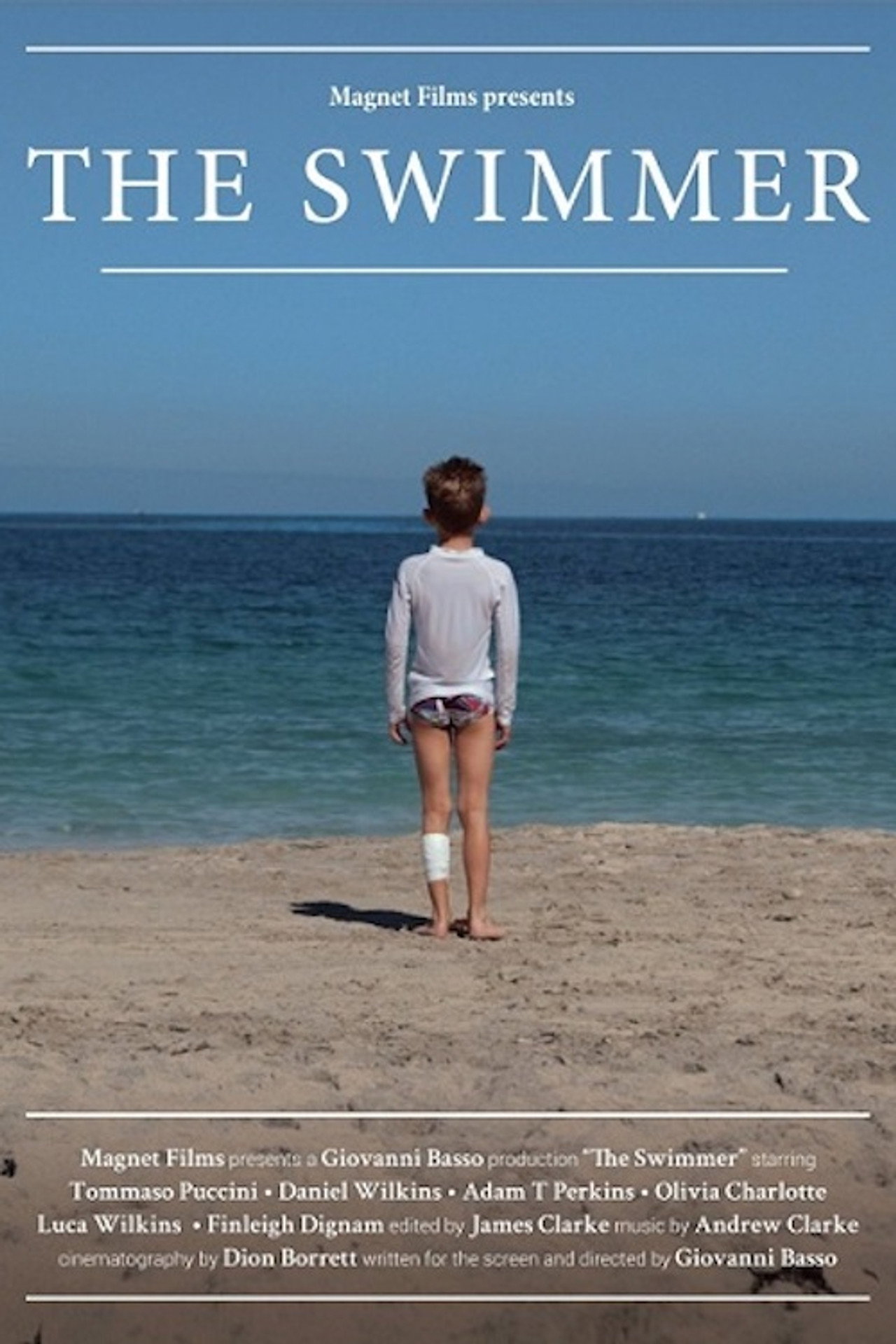 The Swimmer filmaffisch