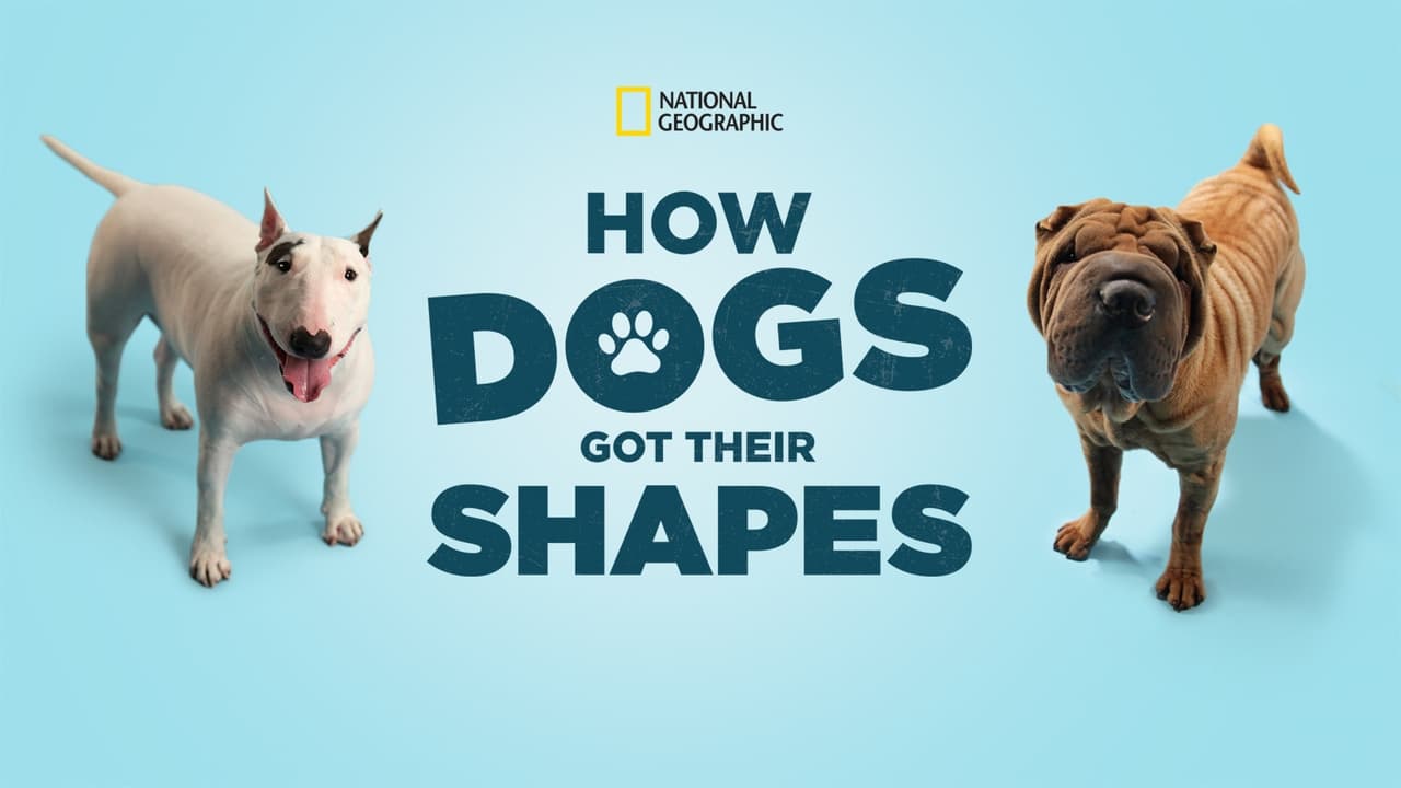 How Dogs Got Their Shapes background