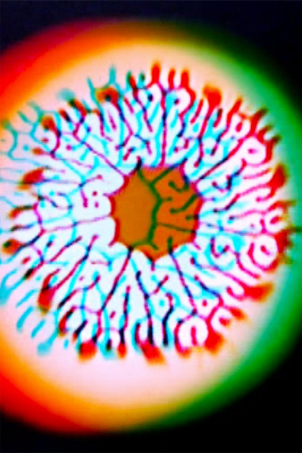 Molecular Feedback filmaffisch