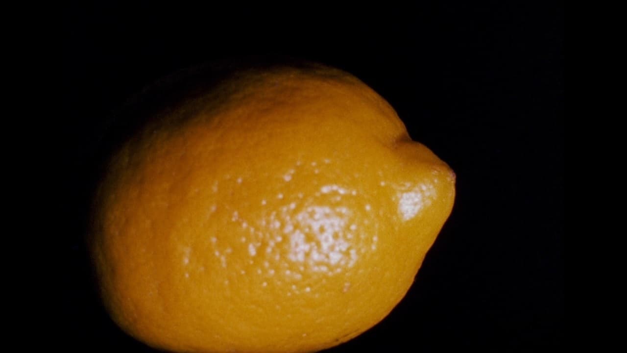 Lemon Backdrop Image