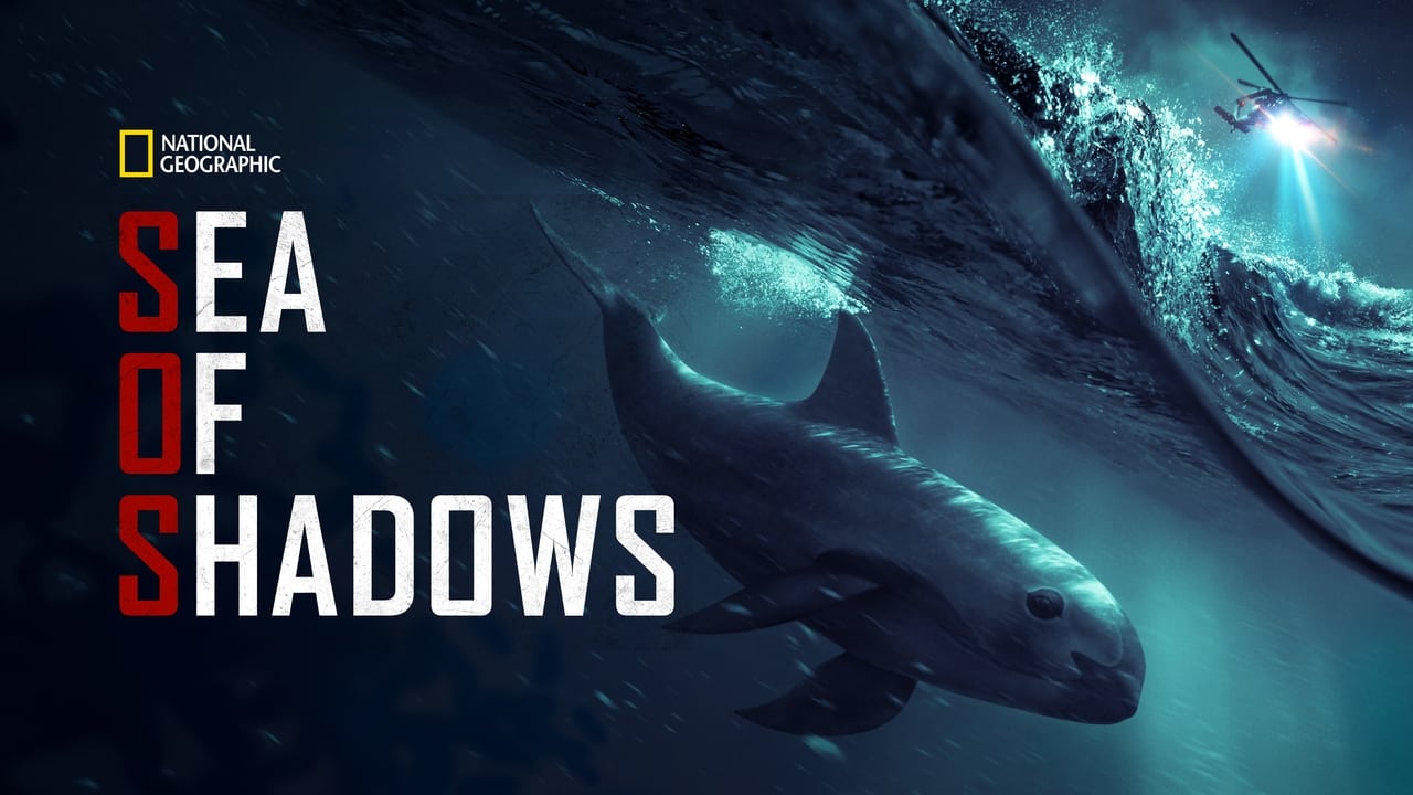 Sea of Shadows background