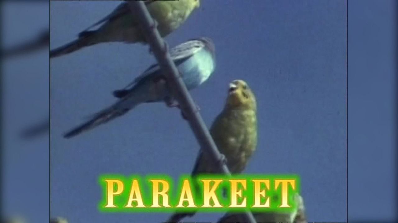 Beakman's World — Épisode 14