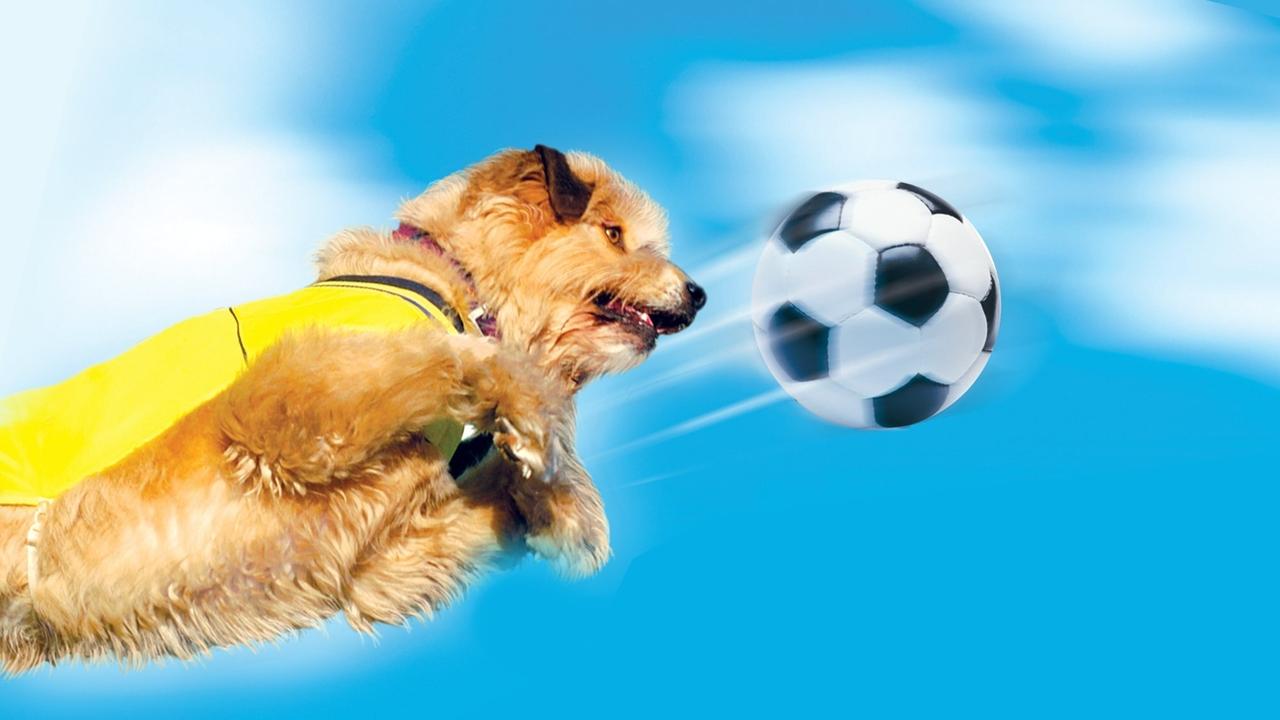 Soccer Dog 2: championnat d'Europe (2004)