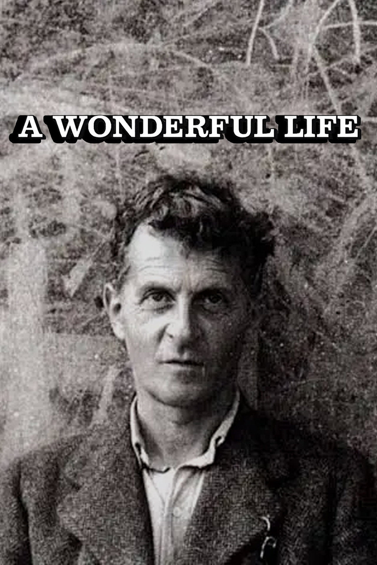 Wittgenstein: A Wonderful Life