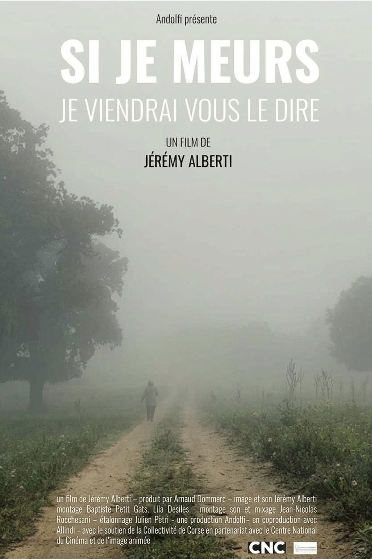 Si je meurs, je viendrai vous le dire filmaffisch