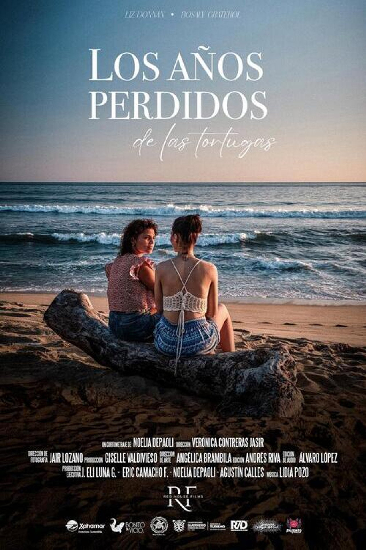 Los años perdidos de las tortugas filmaffisch