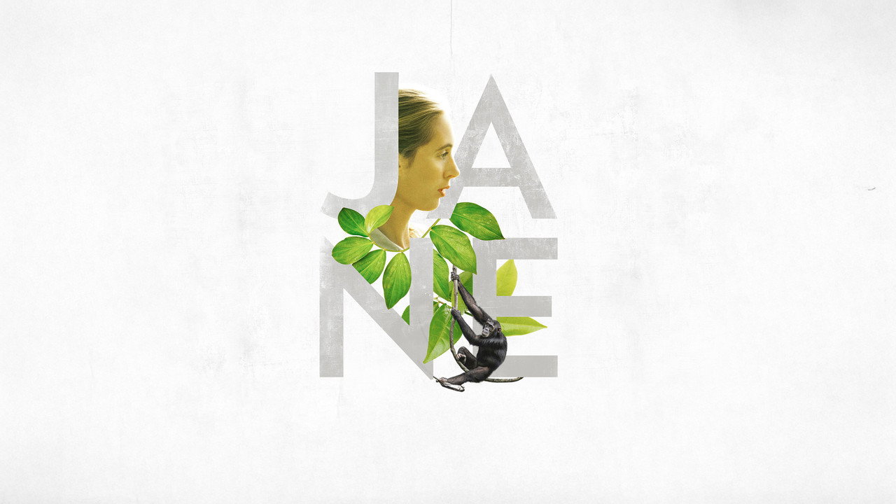 Jane backdrop