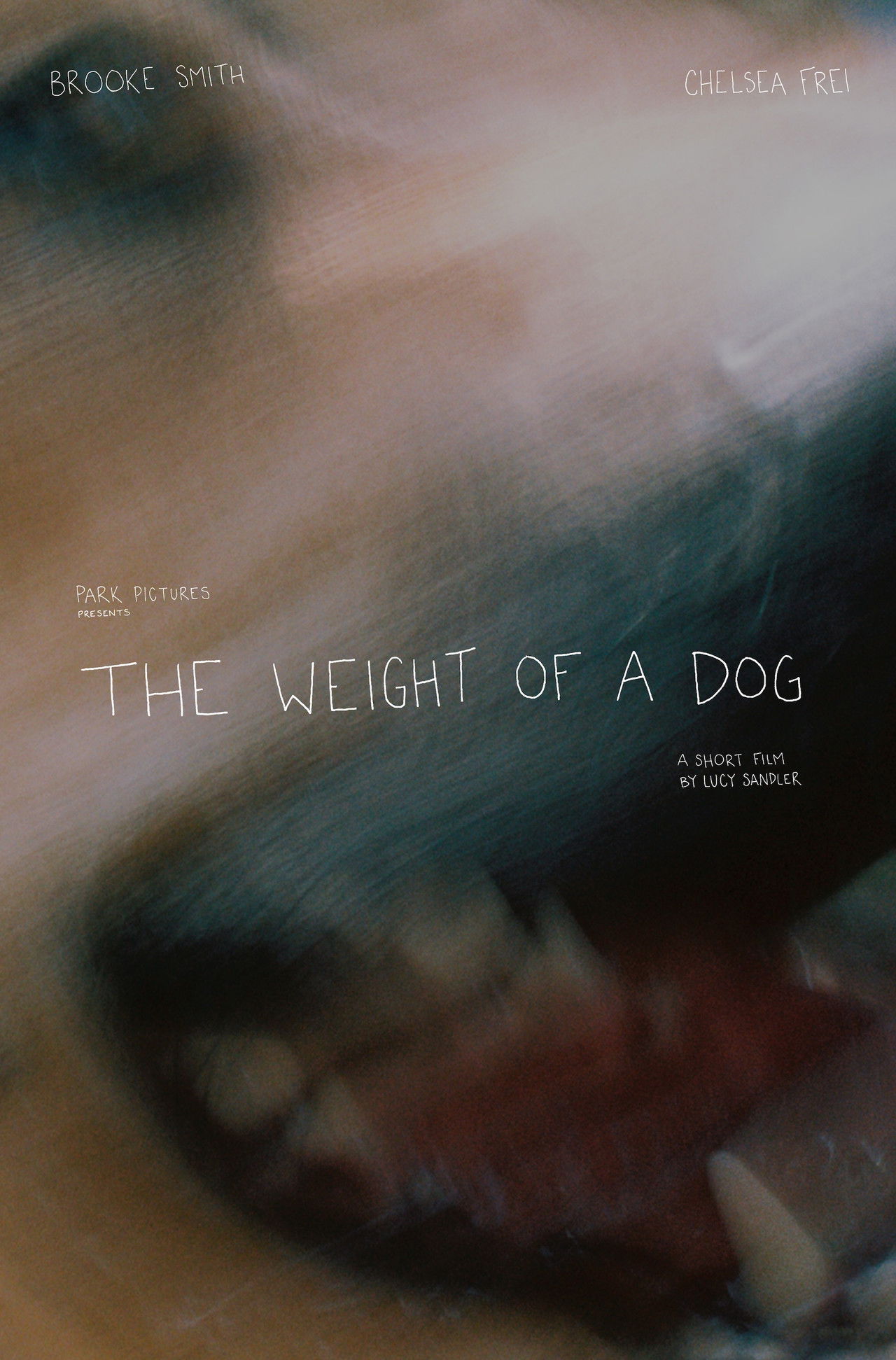 The Weight of a Dog Backdrop