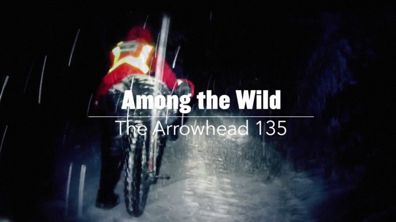 Among the Wild: The Arrowhead 135 movie poster