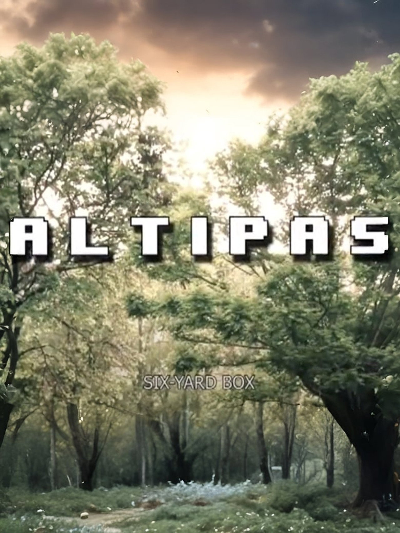 Altı Pas filmaffisch