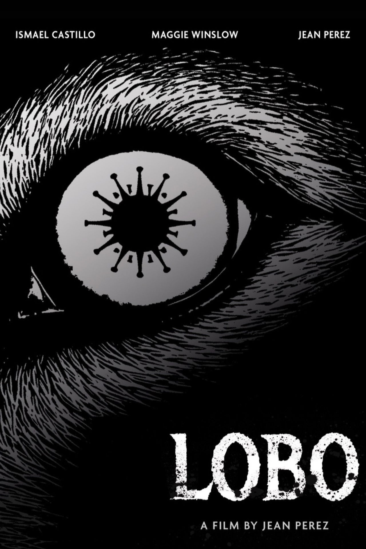 Lobo