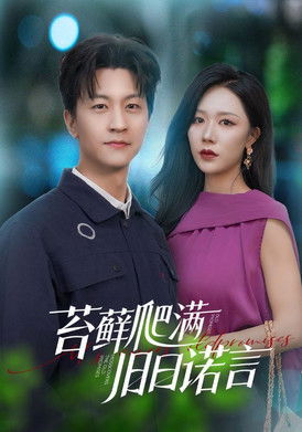 苔藓爬满旧日诺言