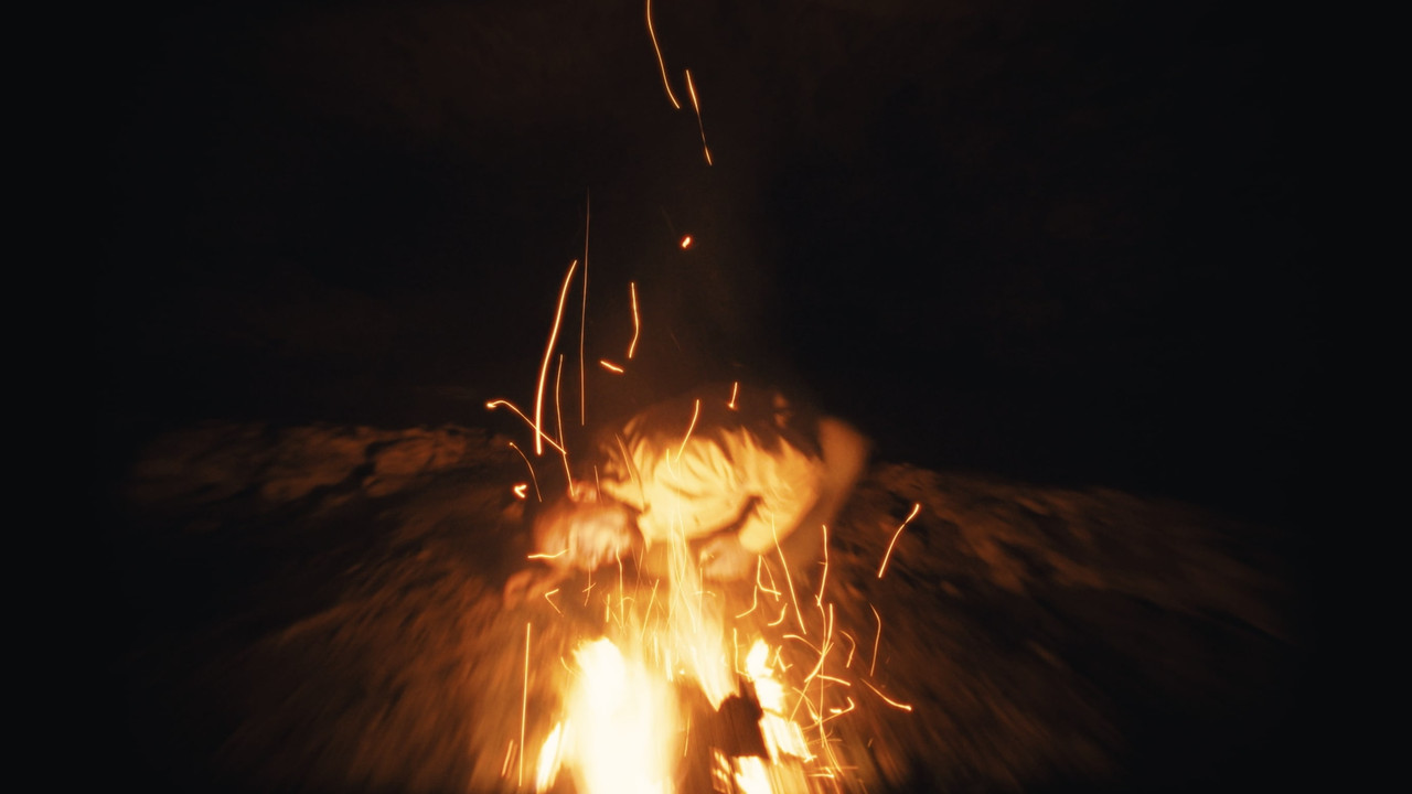 Mycélium - Capture 2