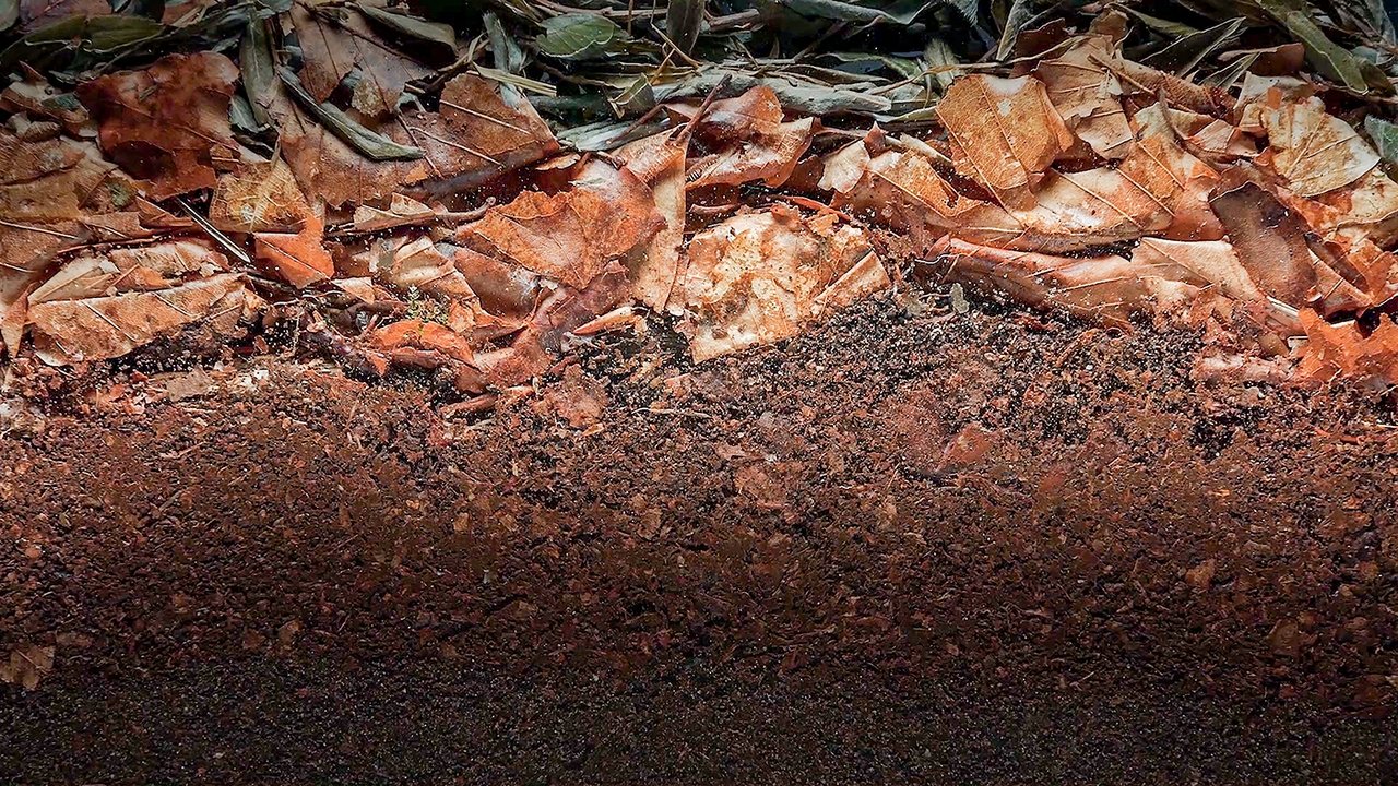 title image