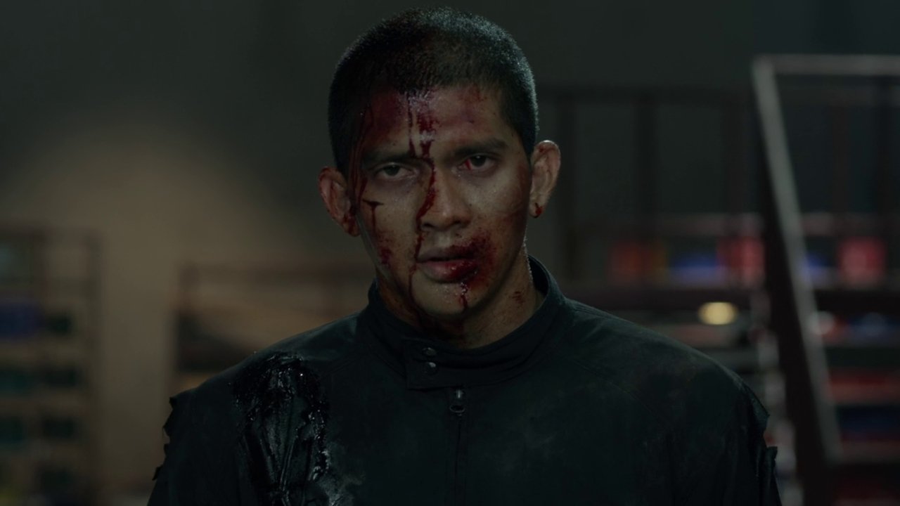 The Raid 2 (2014)