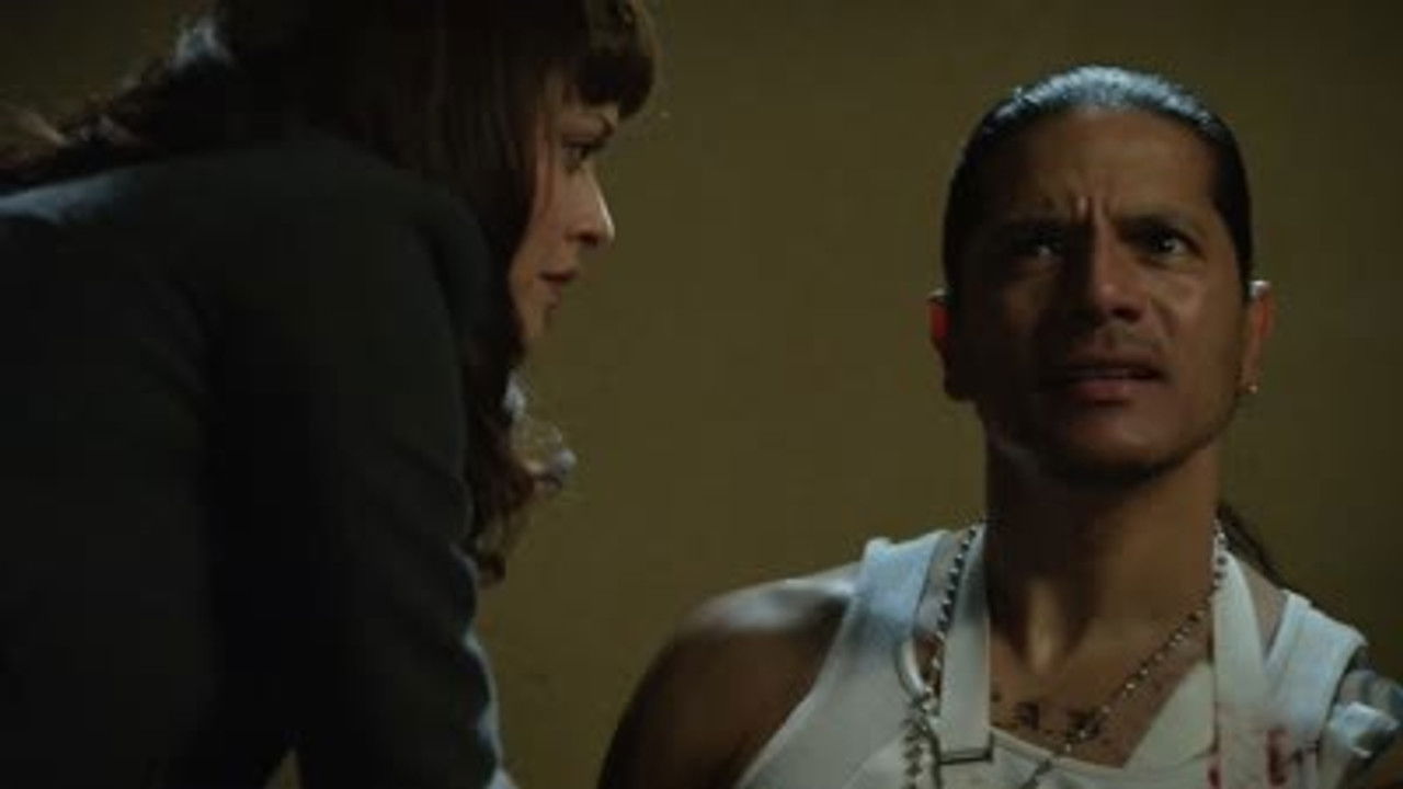 Blue Bloods — Double vie