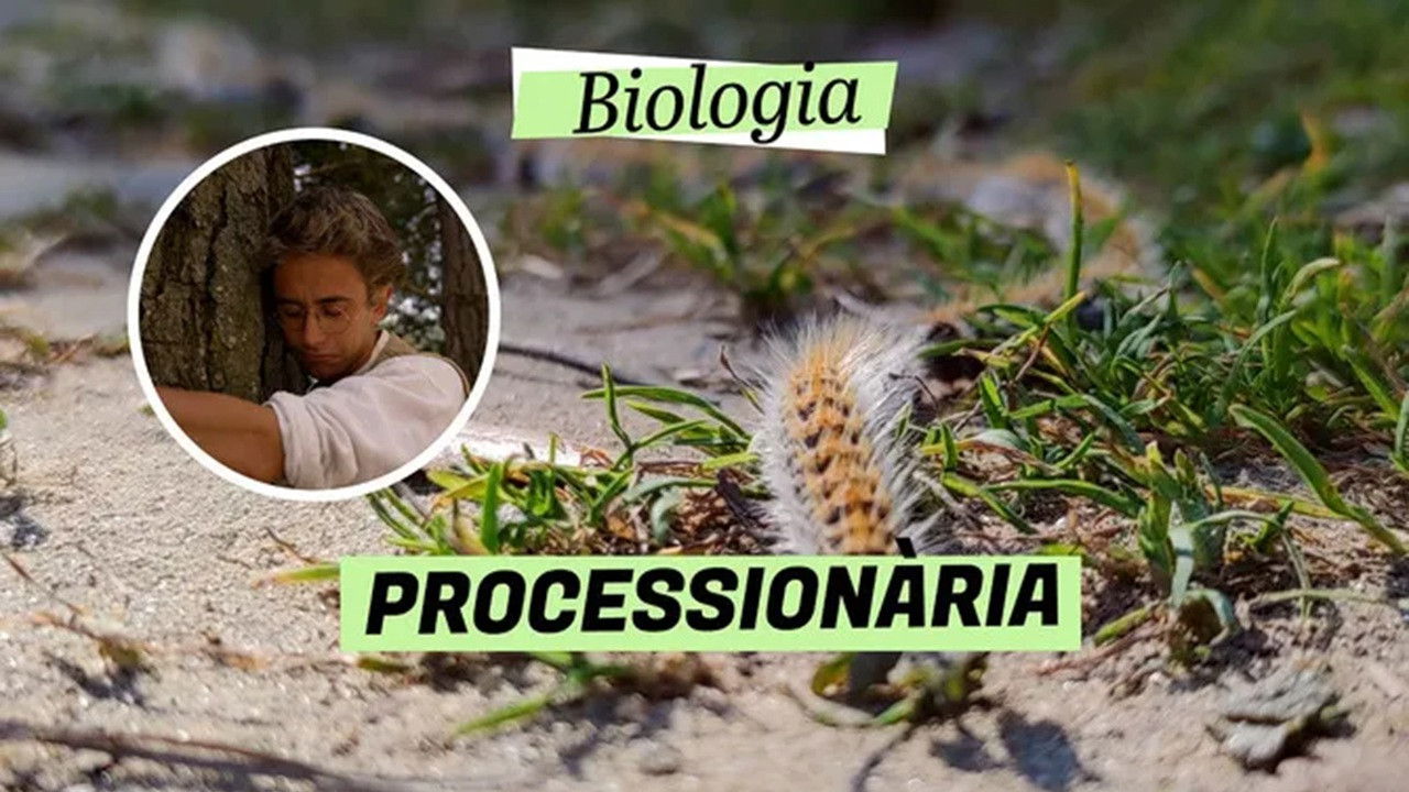 Biologia — Épisode 6