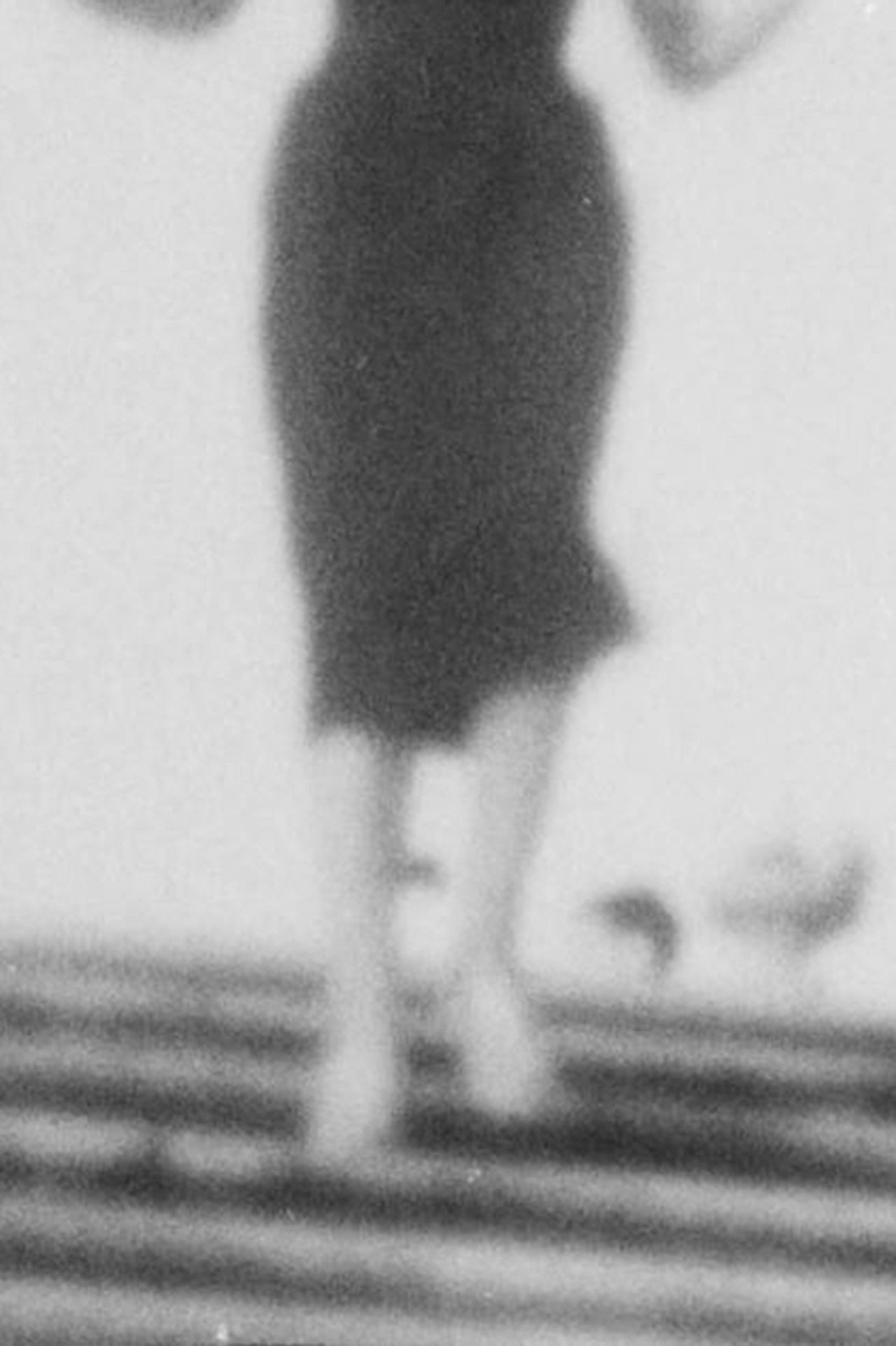 Scale Lente filmaffisch