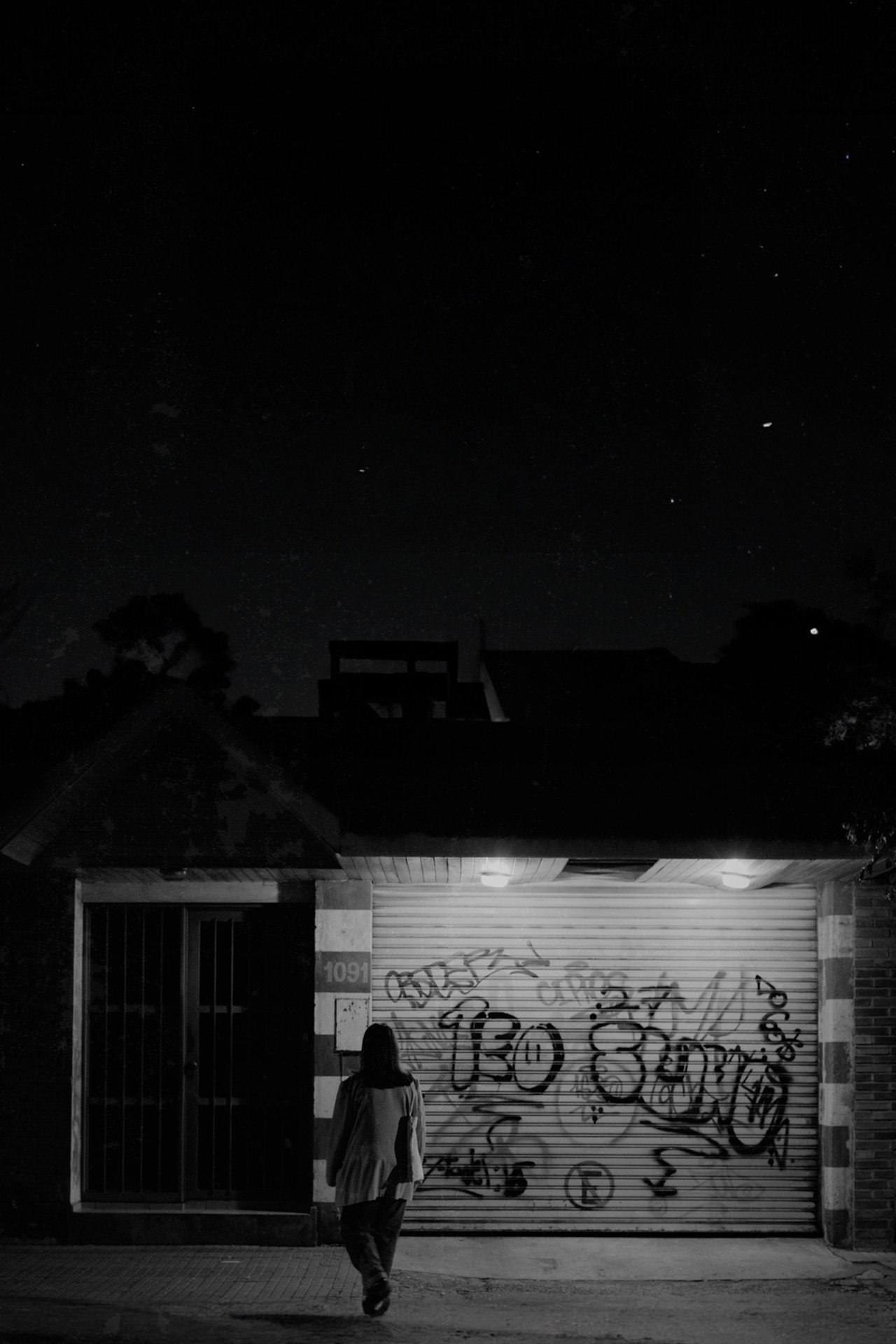Birds sing at night