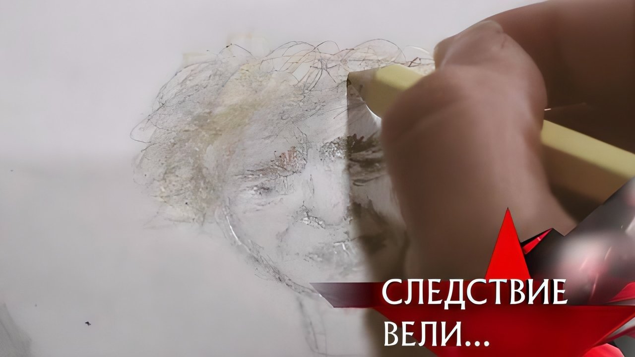 The investigation was conducted - Season 20 Episode 27 : Episode 27