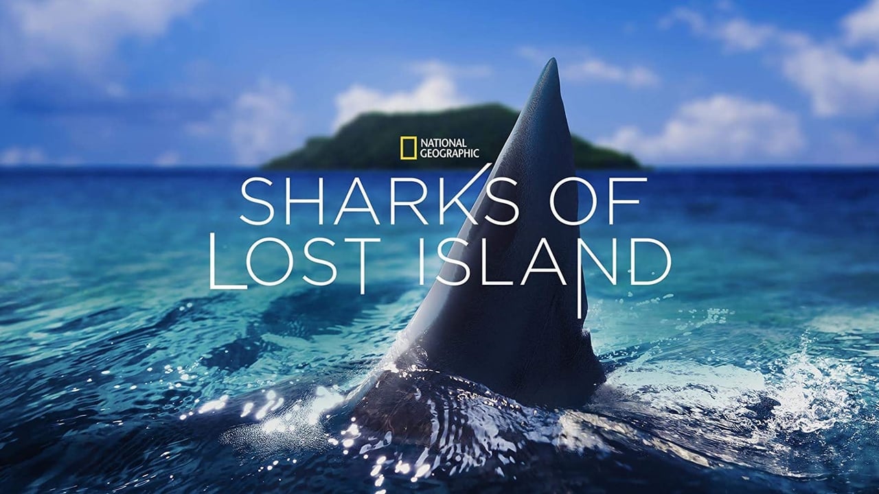 Sharks of Lost Island background