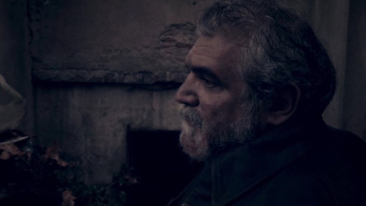 Immagine di copertina del trailer di ADAM