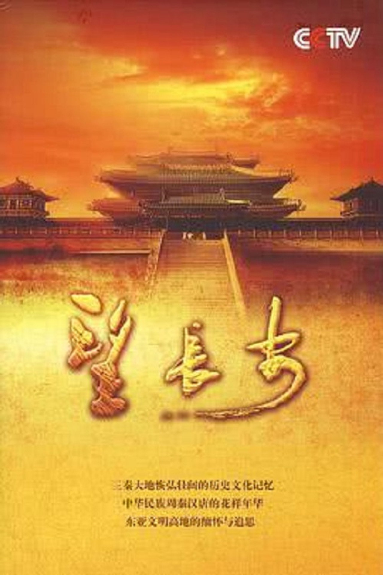 望长安 affisch